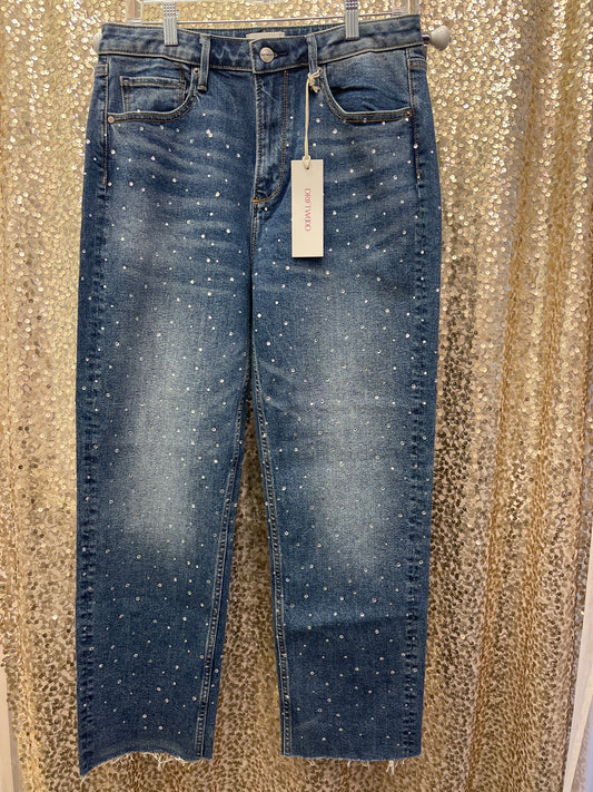 DRIFTWOOD DENIM RHINESTONE JEANS SIZE 28
